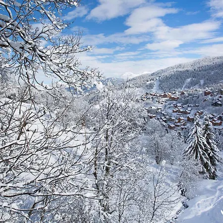 Apartment Centre Merlin - Skis Aux Pieds, Wi-fi, Animaux Admis - Fr-1-182-202 Les Allues