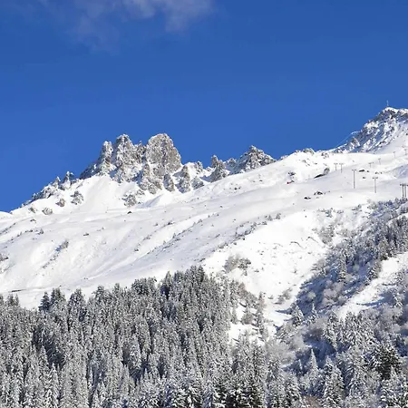 Centre Merlin - Skis Aux Pieds, Wi-fi, Animaux Admis - Fr-1-182-202 Apartment
